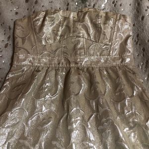 American Eagle Gold and Silver Shimmer Dress